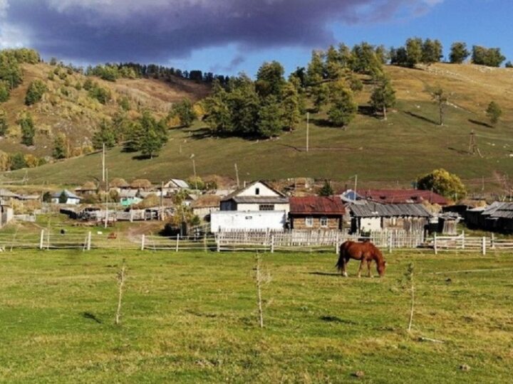 Президент ауылды дамытудың нақты жоспарын әзірлеуді тапсырды