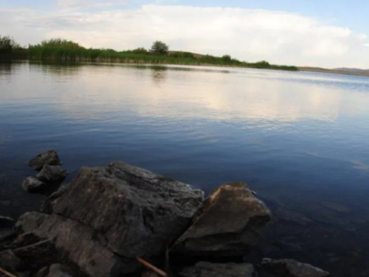 «Кененбай» көліне балық қалай келді?