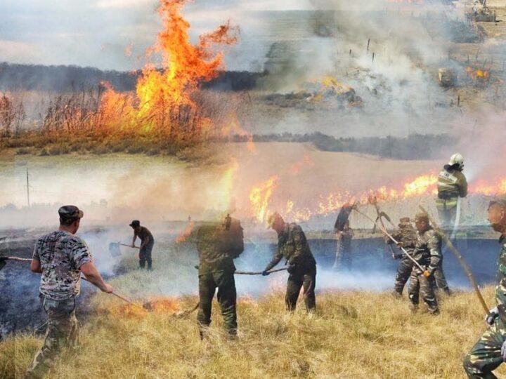 Дала өртінің алдын алу жұмыстары жүргізілуде