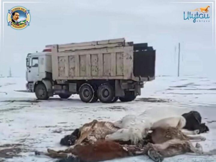 ДАЛАНЫ ӨЛЕКСЕДЕН ТАЗАЛАУ, ЖҰТ ШЫҒЫНЫН АНЫҚТАУ ЖҰМЫСТАРЫ ЖАЛҒАСУДА