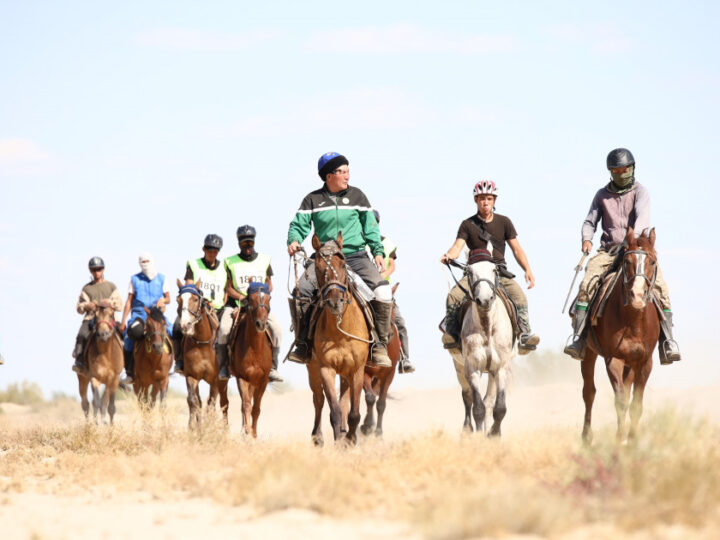 ІРІКТЕУДЕН ӨТКЕН ЖҮЙРІКТЕР Ботай мен Бозоқ көне жолымен жүреді