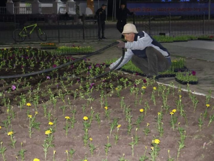 АУДАН ОРТАЛЫҒЫ ГҮЛМЕН КӨМКЕРІЛДІ