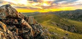 «Домбырамнан бір қоңыр күй табамын…»