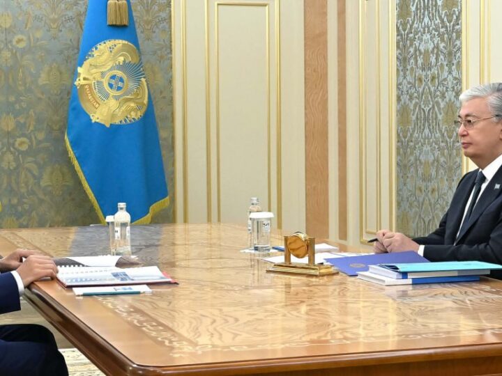 Президентке референдумға дайындық барысы туралы есеп берілді