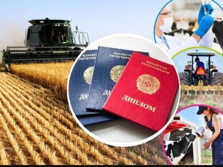 2025-2027 жылдары «Дипломмен ауылға» бағдарламасы ауылдық аумақтарды білікті кадрлармен қамтамасыз етуде шешуші рөл атқара отырып, Қазақстанда оны белсенді іске асыруды жалғастырады