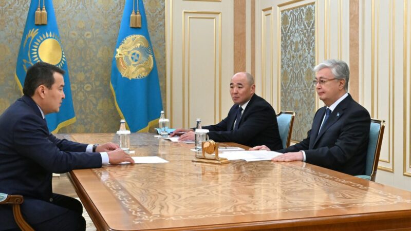 Президент Жоғары аудиторлық палата төрағасы Әлихан Смайыловты қабылдады