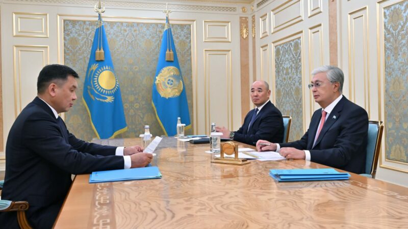 Мемлекет басшысы «Қазақстан темір жолы» ҰК» АҚ басқарма төрағасы Талғат Алдыбергеновті қабылдады