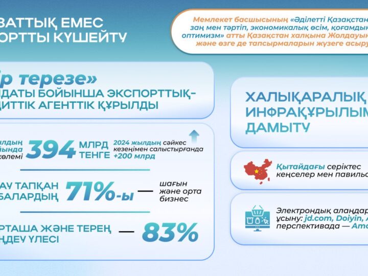 Президент Жолдауындағы тапсырмаларды орындау: шикізаттық емес экспортты қаржылай қолдау көлемі 394 млрд теңгеге жетті