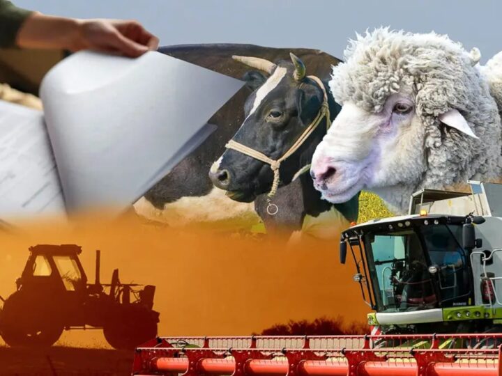 Ұлттық ауыл шаруашылық санағының негізгі кезеңі басталды