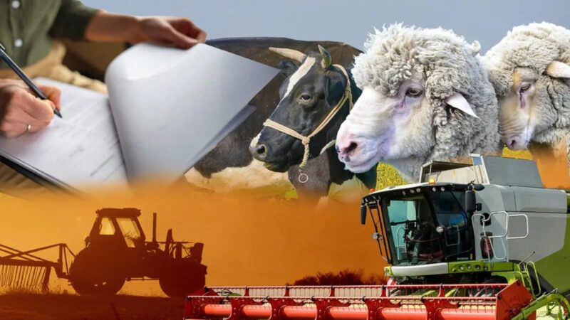 Ұлттық ауыл шаруашылық санағының негізгі кезеңі басталды