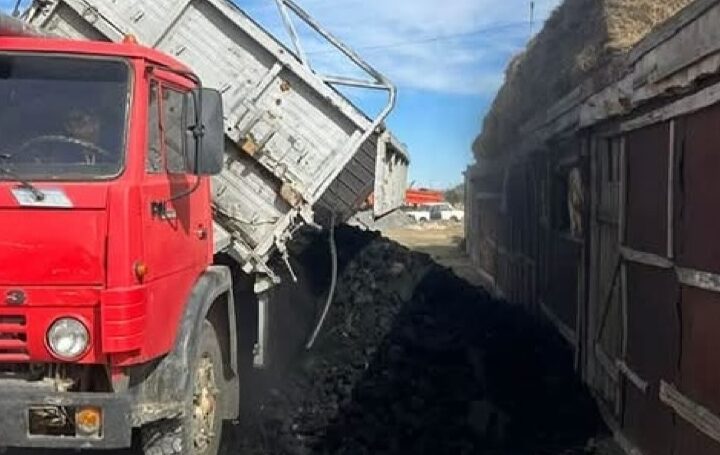 Әлеуметтік қолдау шаралары жалғасуда