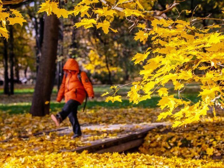Таза Қазақстан – әркімнің жауапкершілігі