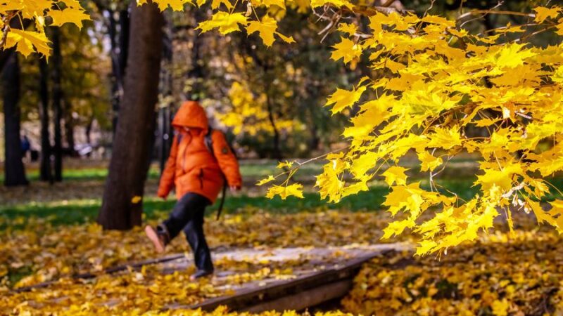 Таза Қазақстан – әркімнің жауапкершілігі