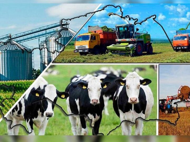 Агрокешен – экономиканың жетекші күші