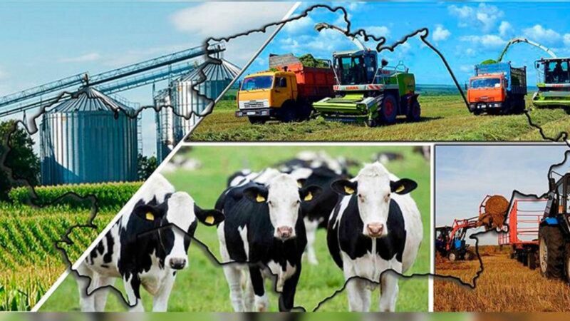 Агрокешен – экономиканың жетекші күші