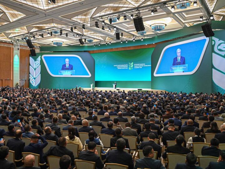 Мемлекет басшысы: «Биыл диқандарымыз 27 миллион тонна астық жинады»