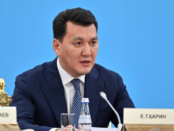 Ерлан Қарин: Ішкі саясат – мемлекеттің дамуы мен тұрақтылығының басты тірегі