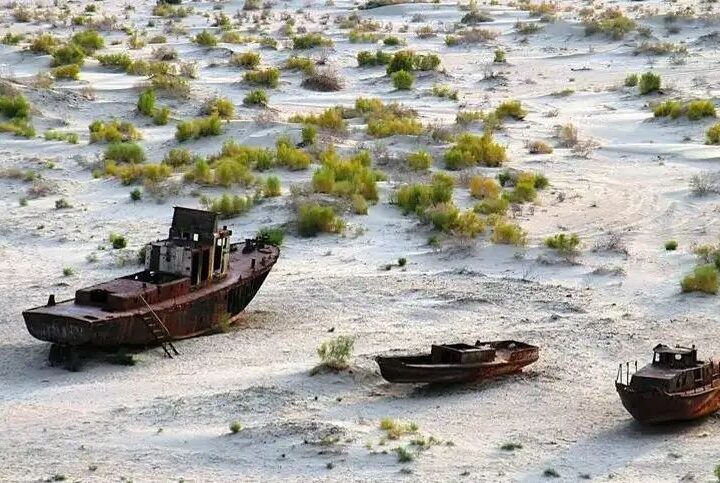Халықаралық экология саммитінде Арал мәселесі талқыланады – Президент