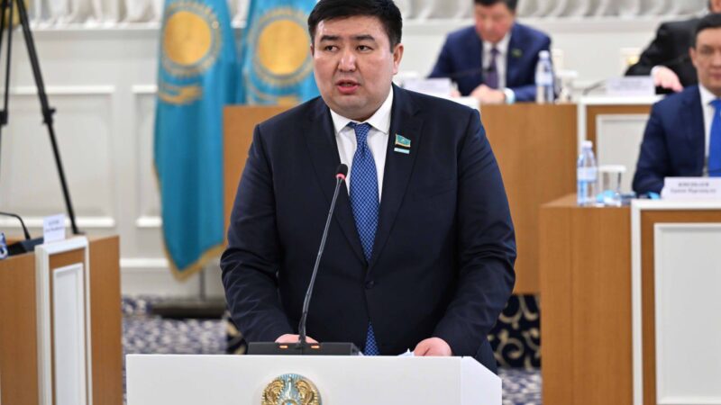 Елнұр Бейсенбаев: Конституциялық реформа саяси партиялардың институционалдық рөлін арттырады