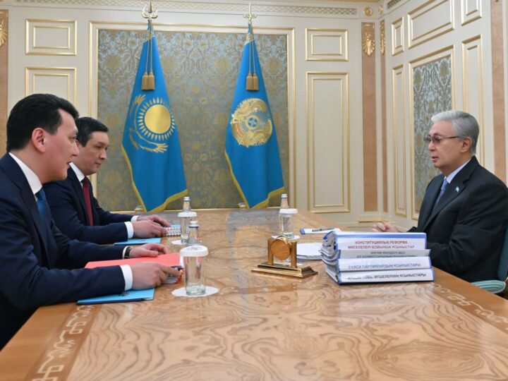 Мемлекет басшысы конституциялық реформаға қатысты түсіп жатқан ұсыныстармен танысты