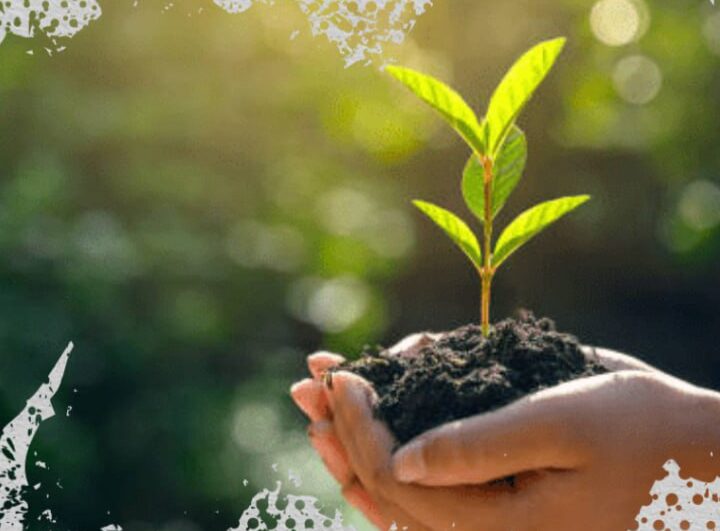 «Таза Қазақстан» әдемі ұран да, науқан да емес – Президент