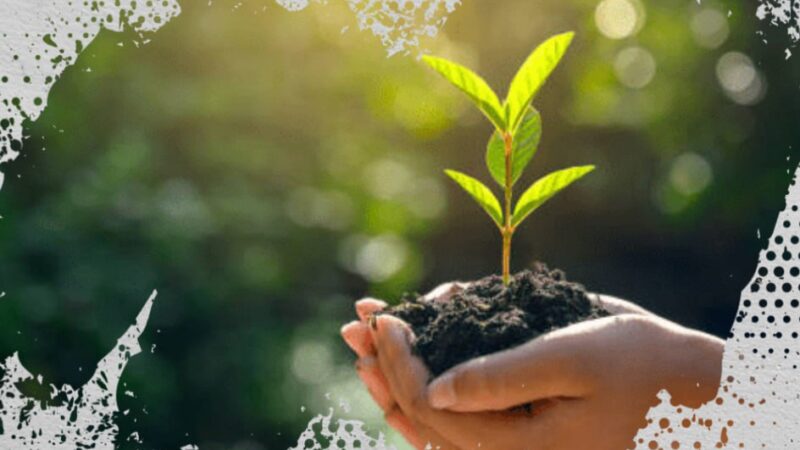 «Таза Қазақстан» әдемі ұран да, науқан да емес – Президент