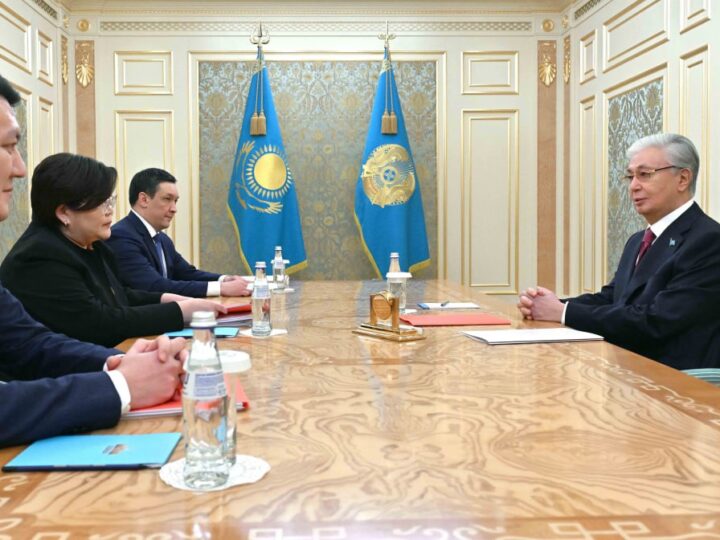 Мемлекет басшысы Конституциялық комиссияның төрағасын қабылдады