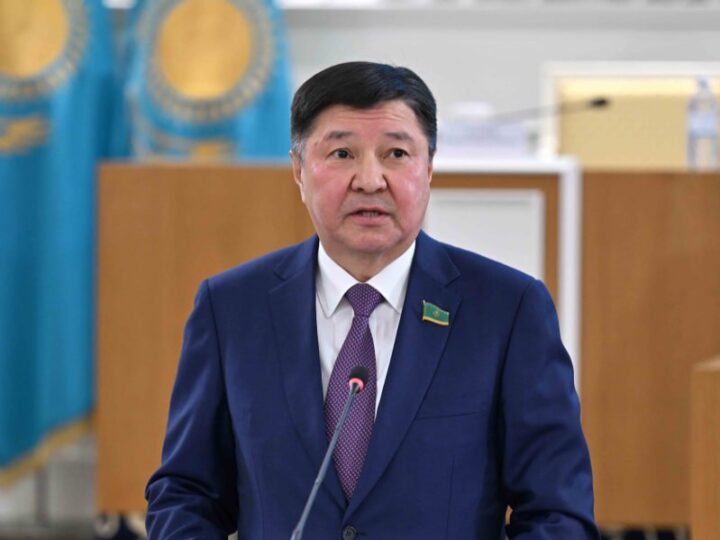 Цифрлық әлем қылмыскерлер үшін жайлы ортаға айналды – Сенат Төрағасының орынбасары