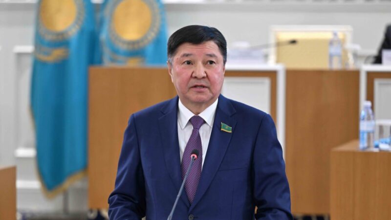 Цифрлық әлем қылмыскерлер үшін жайлы ортаға айналды – Сенат Төрағасының орынбасары