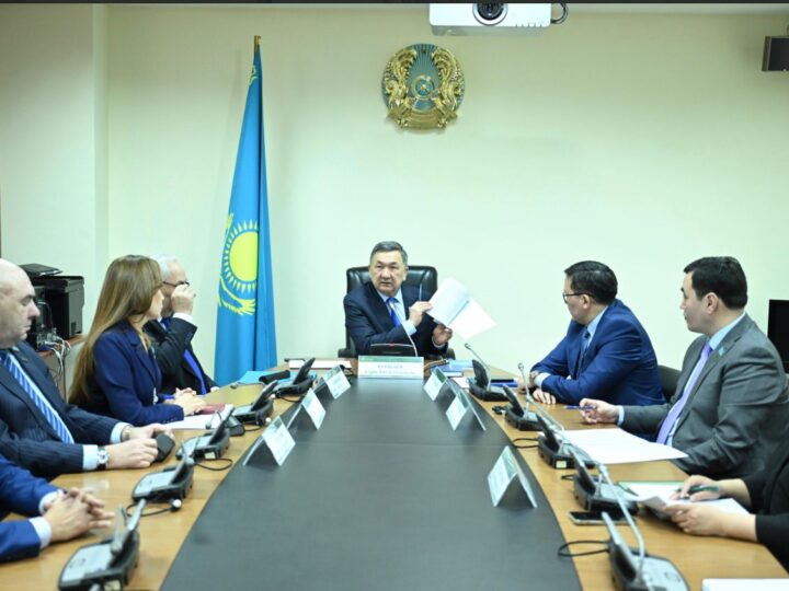 «Ауыл» партиясының фракциясы Жаңа Конституция жобасын қолдады