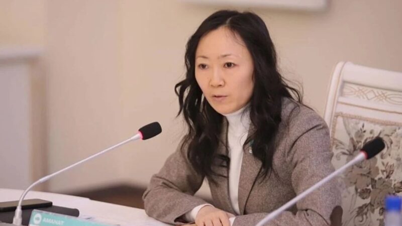 Волонтерлікті ынталандыруды конституциялық деңгейде бекітуді ұсынды