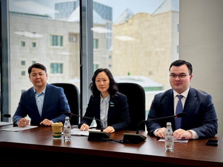 Ұлттық волонтерлік желі жаңа Конституция жобасын қолдайтынын білдірді