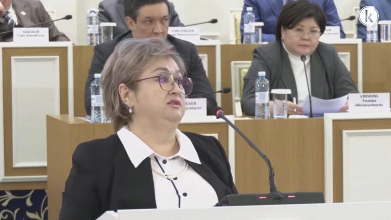 Индира Әубәкірова: Адам мен азаматтың құқықтарын нақты айқындау – баршаға ортақ маңызды мәселе