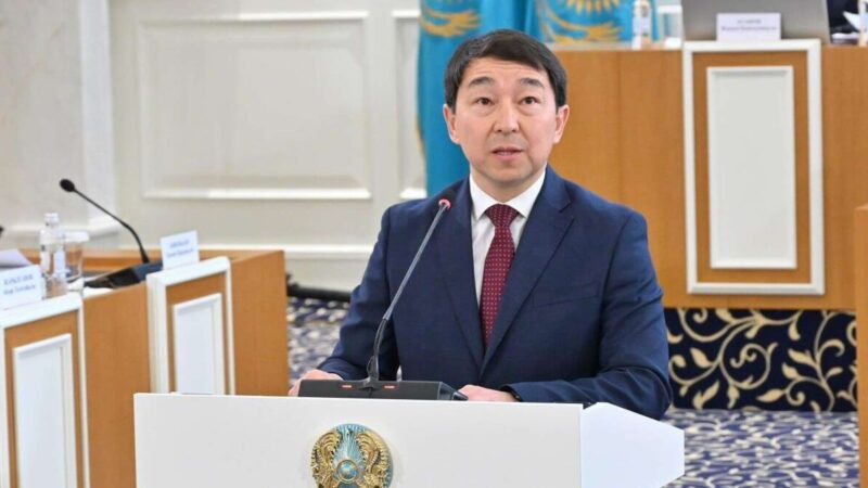 Конституциялық комиссия жаңа Ата заңда волонтерлік қызмет мәртебесін бекітуді қолдады