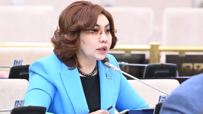 Жаңа Конституция жобасы Қазақстанның халықаралық аренадағы рөлін айқындамақ – Бибігүл Жексенбай