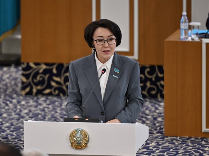 Үнзила Шапақ: «Конституция жобасы БҰҰ қағидаттарына сәйкес келеді»