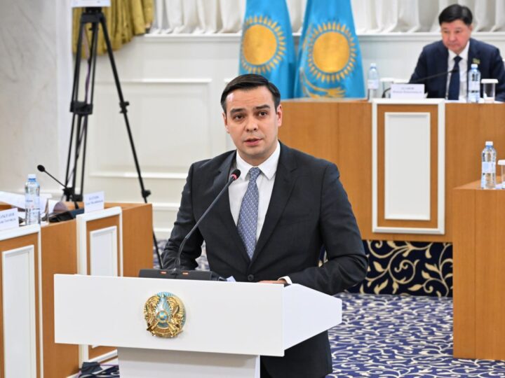 Адам құқықтары жөніндегі уәкіл жаңа Конституция туралы пікір білдірді: бұл сапалы және жан-жақты сараланған құжат