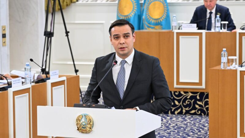 Адам құқықтары жөніндегі уәкіл жаңа Конституция туралы пікір білдірді: бұл сапалы және жан-жақты сараланған құжат