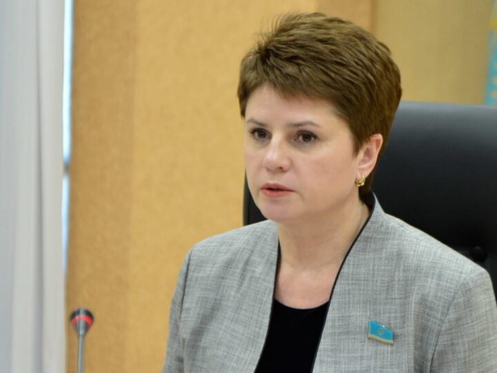 Жаңа Конституцияны қабылдау мәселесін бүкілхалықтық референдумға шығару ұсынылды