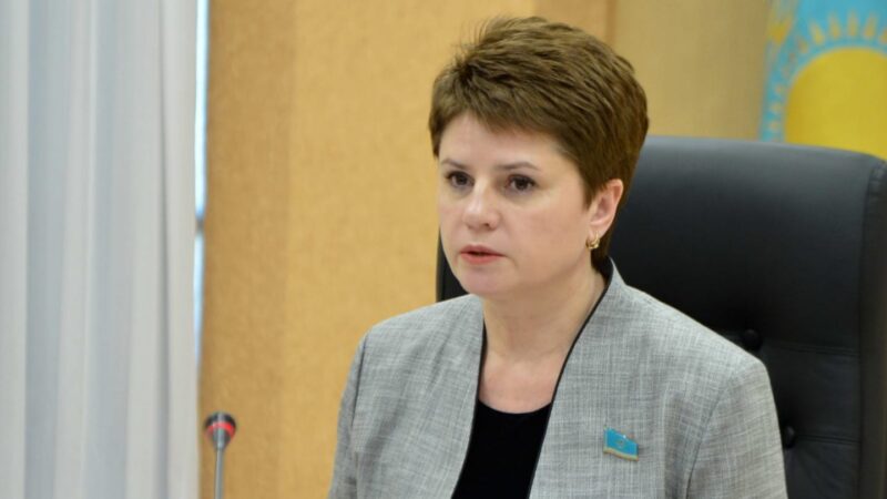 Жаңа Конституцияны қабылдау мәселесін бүкілхалықтық референдумға шығару ұсынылды