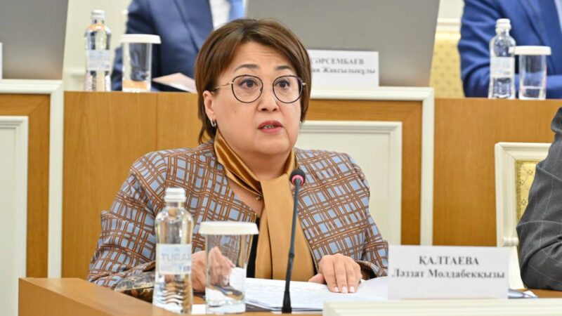 Жаңа Конституция мәтінін Брайль қарпімен жазу ұсынылды – Ләззат Қалтаева