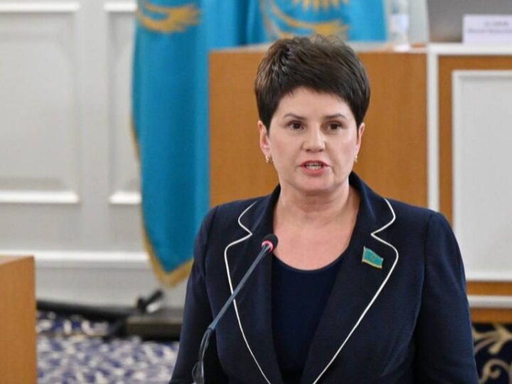 Конституциялық комиссияда жаңа Ата заңды бүкілхалықтық референдумға шығару ұсынылды