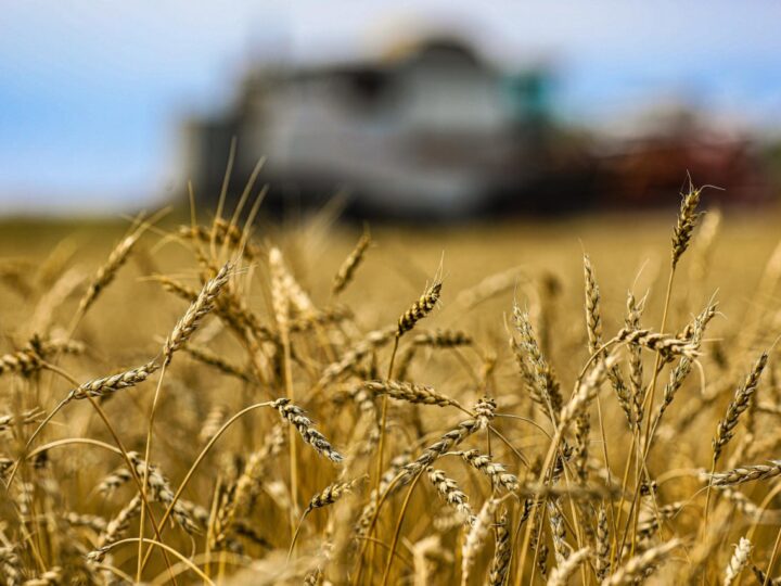 Президент тапсырмаларын орындау: Қазақстанда агроөнеркәсіп кешеніндегі терең өңдеу жобалары жүзеге асуда