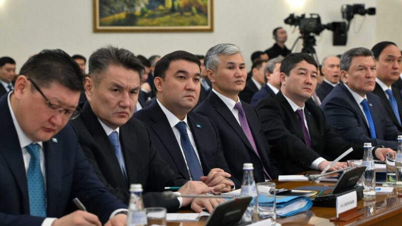 Негізгі Заң жобасында Қазақстанның қарқынды дамуына, ұлтымыздың ұйысуына қажетті іргелі қағидаттар мен құндылықтар толық қамтылған – Президент