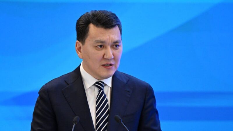 Мемлекеттік кеңесші жаңа Конституция жобасына арналған сарапшылар талқылауына қатысты