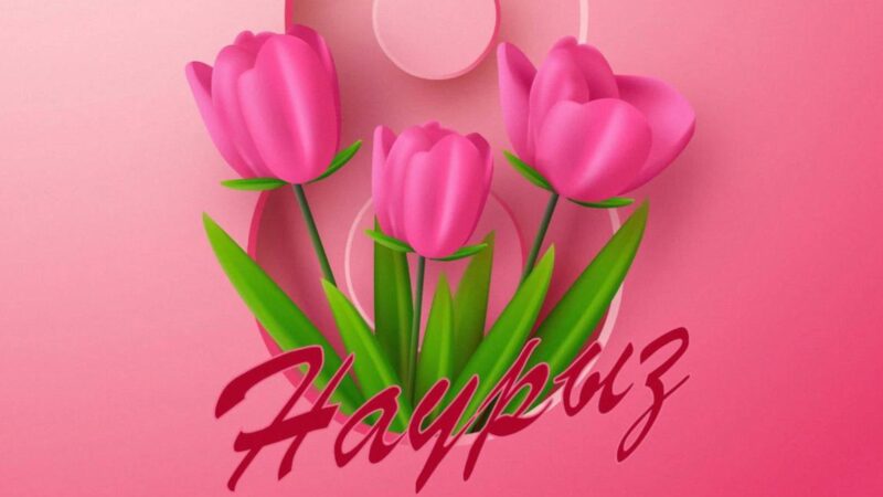 Ұлытау облысында көпбалалы аналарды қолдауға 188 миллион теңгеге жуық қаражат бөлінді