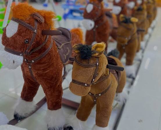 Сатып алынған ойыншықтың жұмыс істейтінін тексеруді өтіндім. сатушы бұл өтінішімді қанағаттандырмады. үйде ойыншықты ашқан кезде оның жұмыс істемейтіні анықталды. не істеу керек?