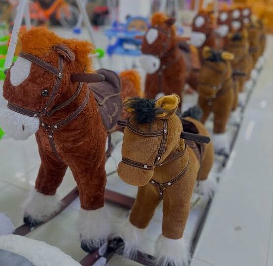 Сатып алынған ойыншықтың жұмыс істейтінін тексеруді өтіндім. сатушы бұл өтінішімді қанағаттандырмады. үйде ойыншықты ашқан кезде оның жұмыс істемейтіні анықталды. не істеу керек?