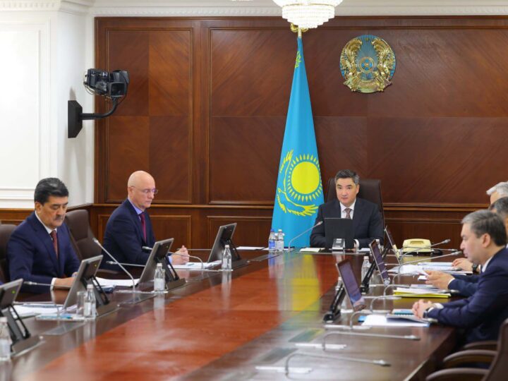 Президенттің «Таза Қазақстан» бастамасын жүзеге асыру: 1,6 млрд ағаш отырғызылды, 1 млн гектардан астам алқапта мелиорациялық орман жұмыстары жүргізілді