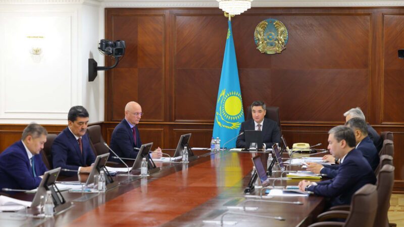 Президенттің «Таза Қазақстан» бастамасын жүзеге асыру: 1,6 млрд ағаш отырғызылды, 1 млн гектардан астам алқапта мелиорациялық орман жұмыстары жүргізілді